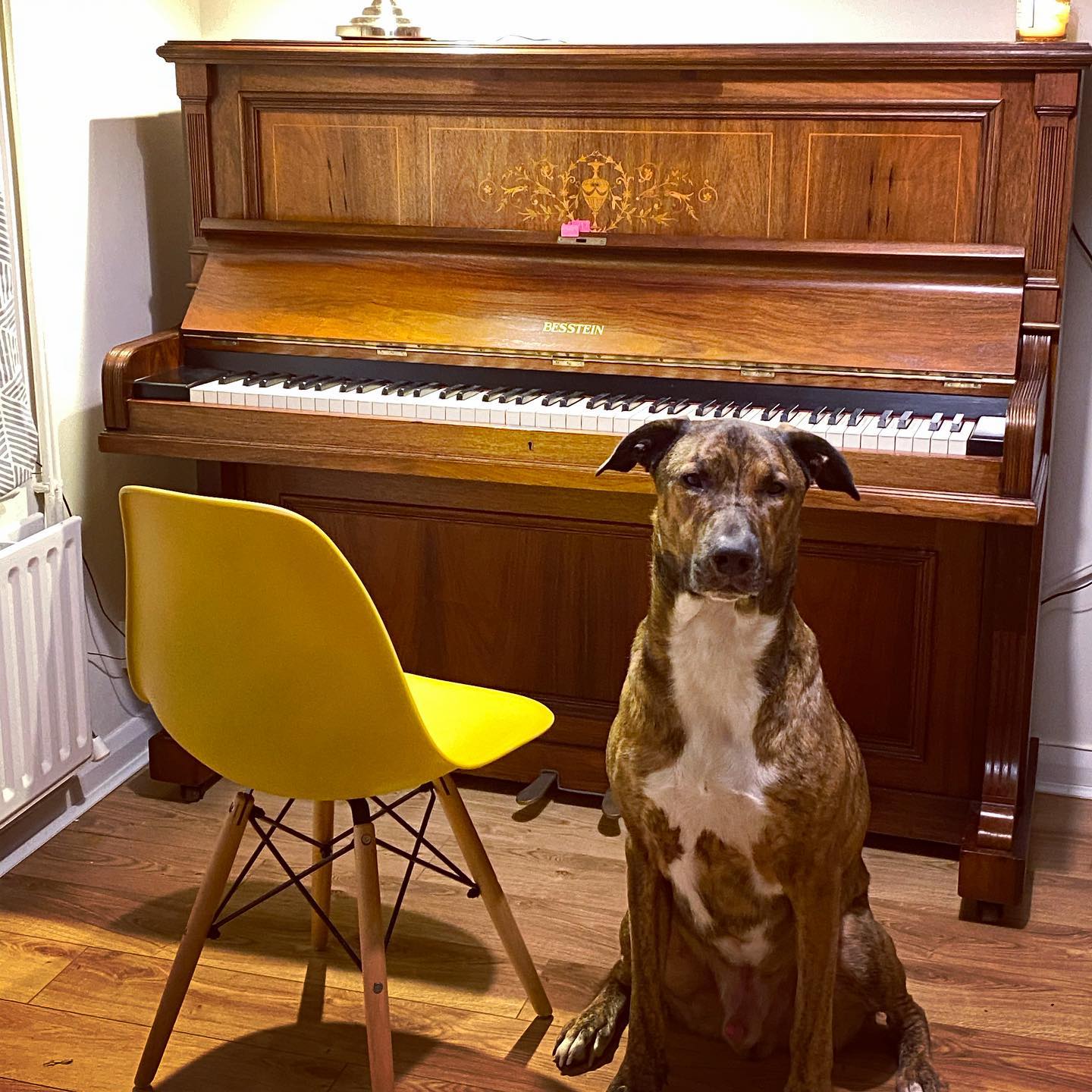 Piano in the room with yellow chair